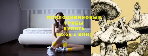 PSILOCYBIN Балабаново