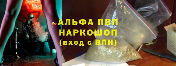 PSILOCYBIN Балабаново