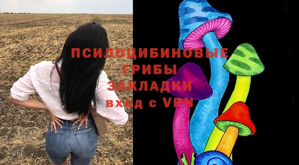 PSILOCYBIN Балабаново
