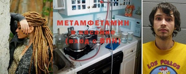 PSILOCYBIN Балабаново