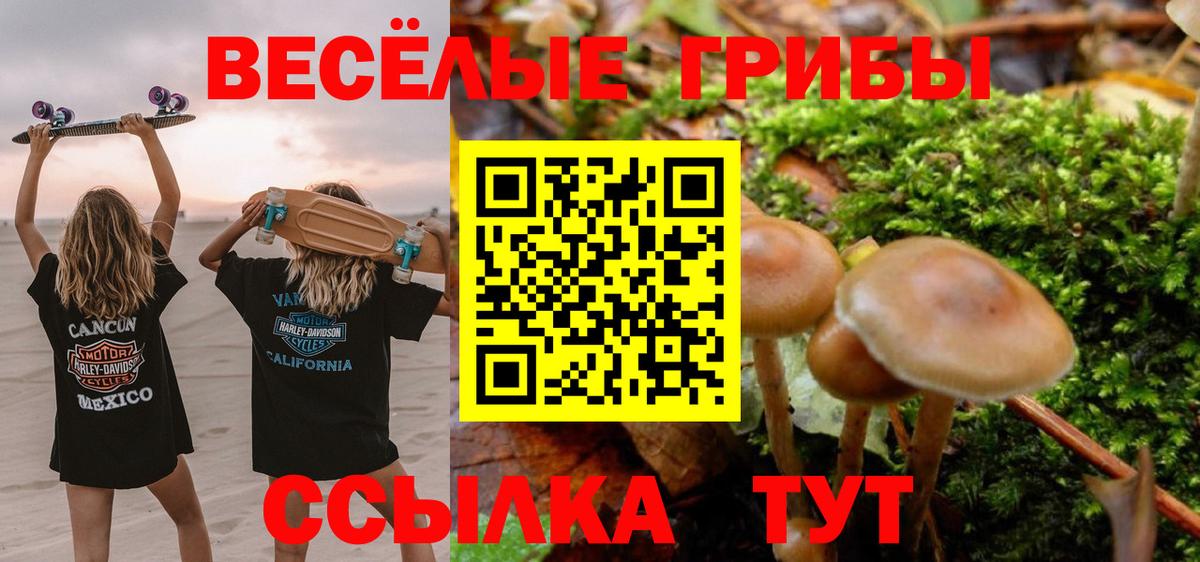 Лыткарино  Псилоцибиновые грибы ЛСД  купить   Вход с VPN 