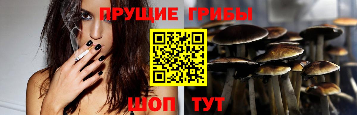 Псилоцибиновые грибы Cubensis Лыткарино